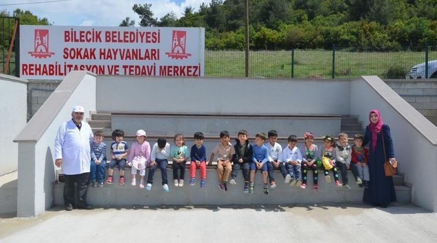 Minikler Sokak Hayvanları Tedavi Ve Rehabilitasyon Merkezi&rsquo;ni Gezdi