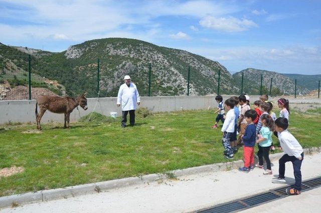 Minikler Sokak Hayvanları Tedavi Ve Rehabilitasyon Merkezi’ni Gezdi