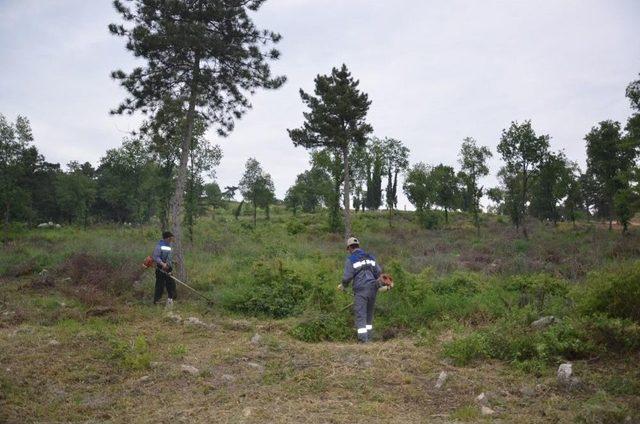 Pelitözü Mahallesi Mezarlığında Temizlik Çalışması