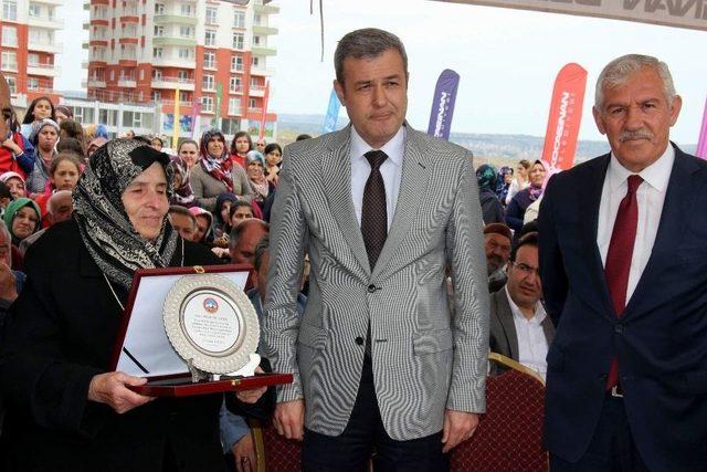 Hacı Ömer Ayten Tepecik İlkokulu Ve İmam Hatip Ortaokulu