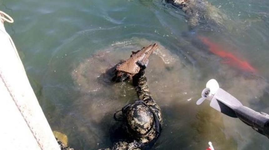 Oyfest'e &Ouml;zel Deniz Dibi Temizliği