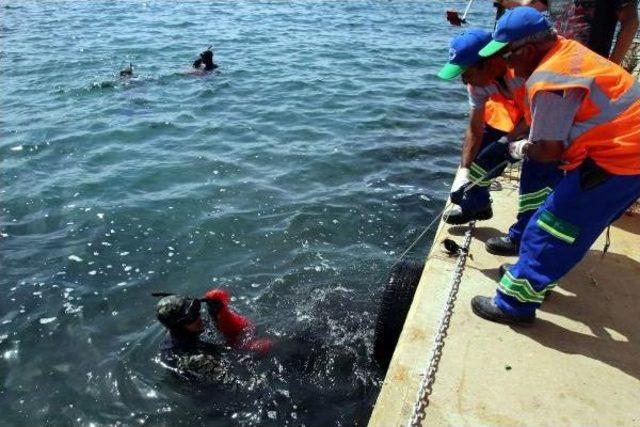 Oyfest e &Ouml;zel Deniz Dibi Temizliği 2