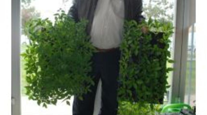 &Uuml;r&uuml;nlerde Gecikme Olabilir