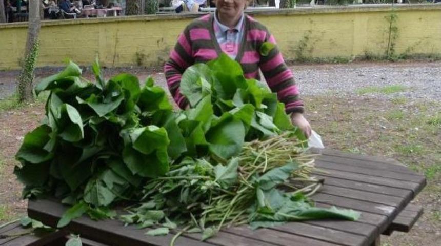 Ot Yemekleri Festivali Başladı