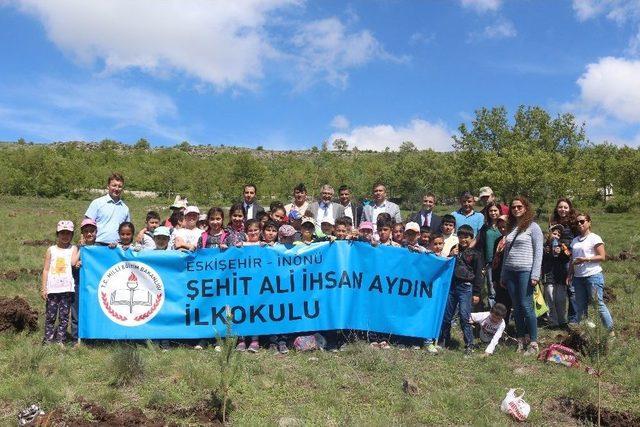 İnönü’ye Şehitlik Ormanı