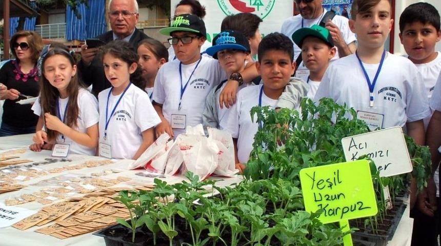 Minik Ellerin Diktiği Tohumlar Fide Oldu