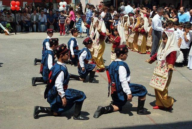 Minik Ellerin Diktiği Tohumlar Fide Oldu