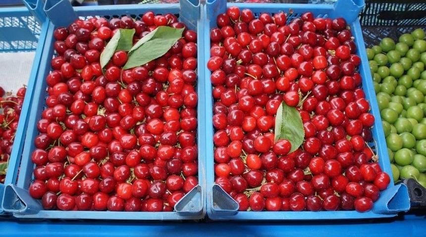 Lapseki Kirazı 15 Liradan Tezgahta