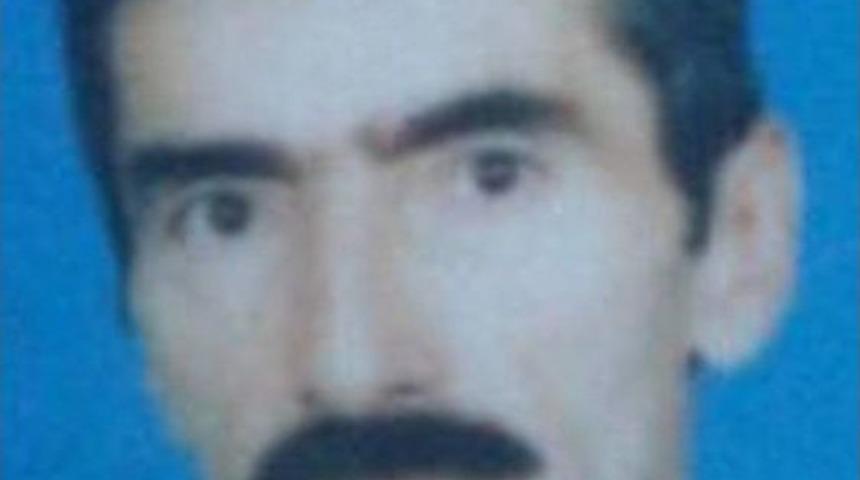 &Uuml;zerine Ağa&ccedil; Devrilen İş&ccedil;i Hayatını Kaybetti