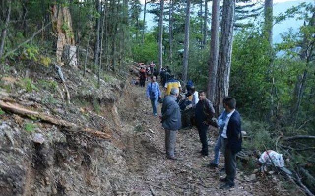 Devrilen Ağacın Altında Kalan Orman Işçisi Öldü