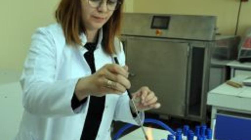 Hormonlu Etlere Dikkat