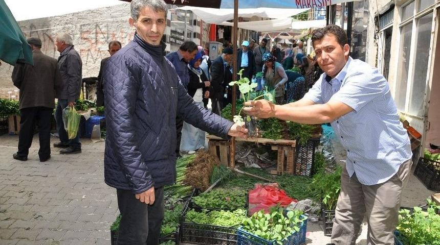 Simav&rsquo;da Organik Sebze Fidesi Pazarı