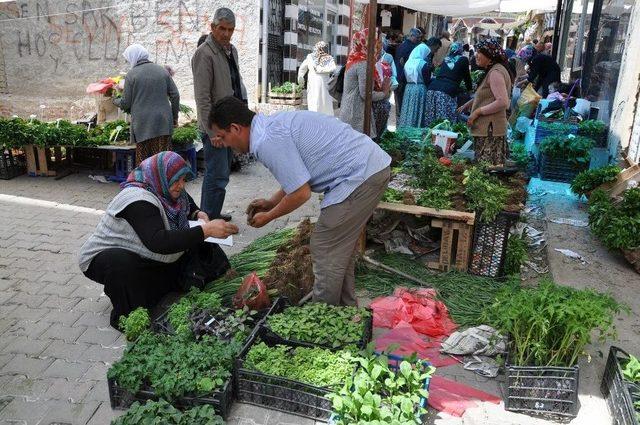 Simav’da Organik Sebze Fidesi Pazarı