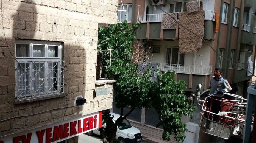 Ayağı Tele Takılan Kırlangı&ccedil; İ&ccedil;in Seferber Oldular