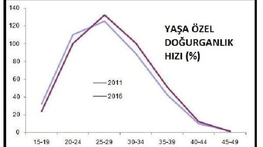 Canlı Doğan Bebek Sayısı 2016 Yılında Y&uuml;zde 0.02 Azaldı