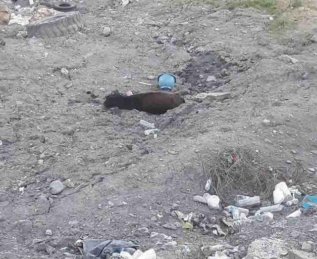 Kulp&rsquo;ta &Ccedil;amura Saplanan İneği Kurtarma Operasyonu 1