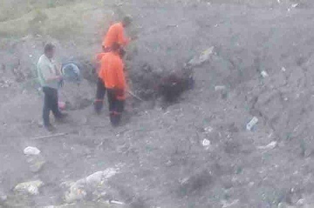 Kulp&rsquo;ta &Ccedil;amura Saplanan İneği Kurtarma Operasyonu 2