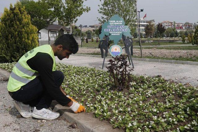 Yaz Çiçekleri Gölbaşı’nı Renklendiriyor