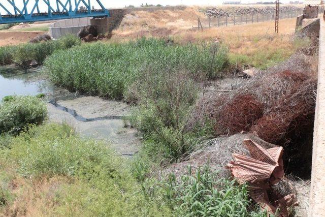 Suriye Sınırı Yakınındaki K&ouml;t&uuml; Kokunun Sebebi Bulundu 1