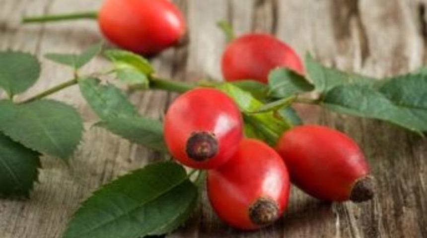 &ldquo;kuşburnu Tohumuyla Cildinizi Yenileyebilirsiniz&rdquo;