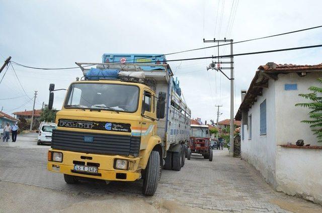 Sokağa Giren Tır, Elektrik Tellerini Koparıp Ağacı Yerinden Söktü