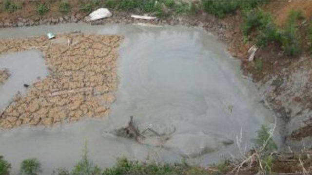 Sandıklı’da Bentonit Kuyusuna Düşen İneği İtfaiye Kurtardı