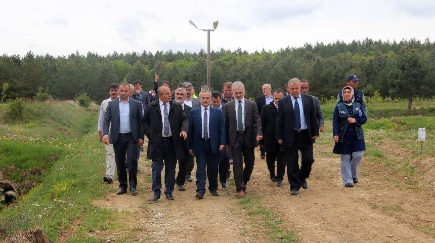 Muzaffer B&uuml;y&uuml;kterzi&rsquo;nin Adı Orman Fidanlığı&rsquo;nda Yaşayacak