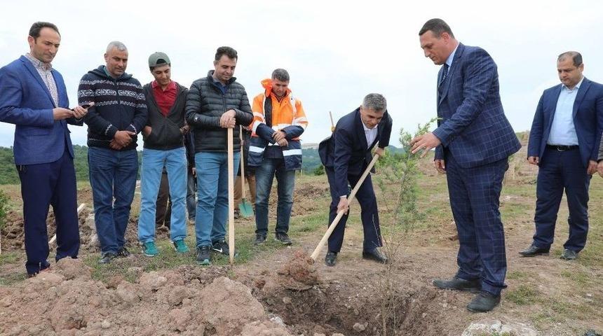 K&ouml;rfez&rsquo;de 5 Bin Fidan Toprakla Buluştu