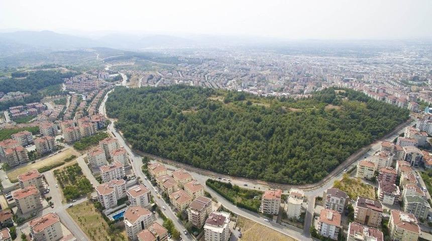 Altepe: &ldquo;cephanelik&rsquo;te İmar S&ouml;z Konusu Değil&ldquo;