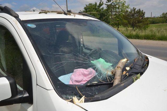 Seyir Halindeki Aracın &Uuml;zerine Ağa&ccedil; Devrildi 1