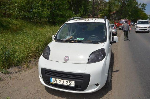 Seyir Halindeki Aracın &Uuml;zerine Ağa&ccedil; Devrildi 2