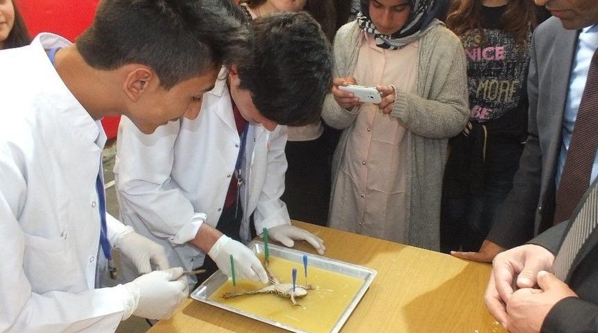 Malazgirt&rsquo;te T&uuml;bitak Bilim Fuarı Sergisi