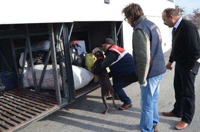 Jandarma Uyuşturucuya Geçit Vermedi