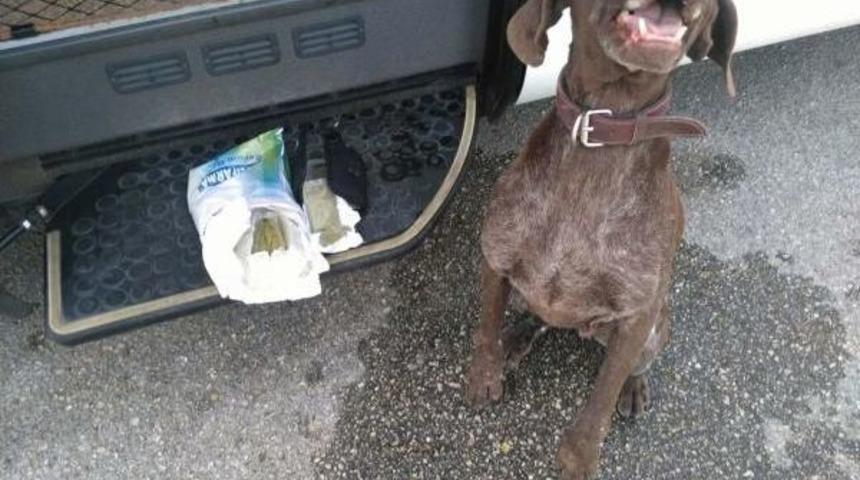 Yolcu Otob&uuml;s&uuml;nde 220 Gram Esrar Ele Ge&ccedil;irildi