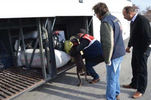 Yolcu Otobüsünde 220 Gram Esrar Ele Geçirildi