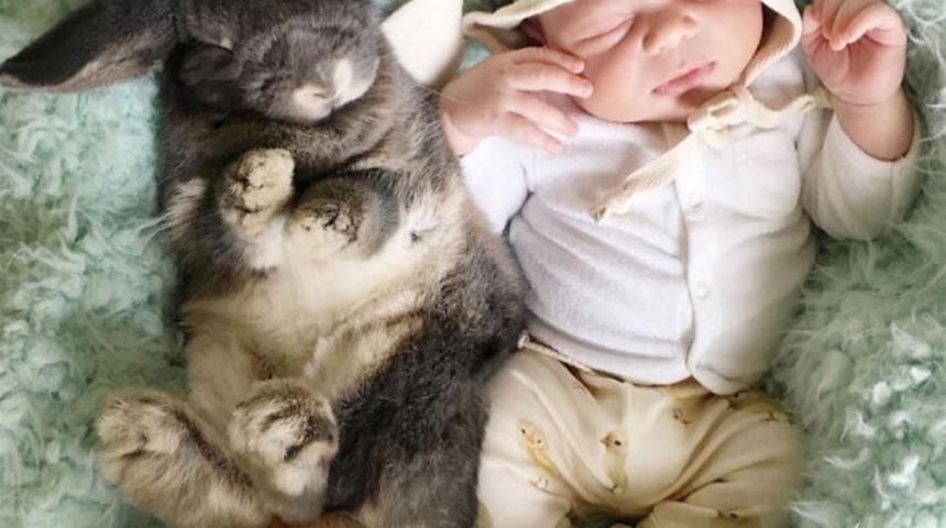 Uyansa da &ouml;psem dedirten 6 fotoğraf