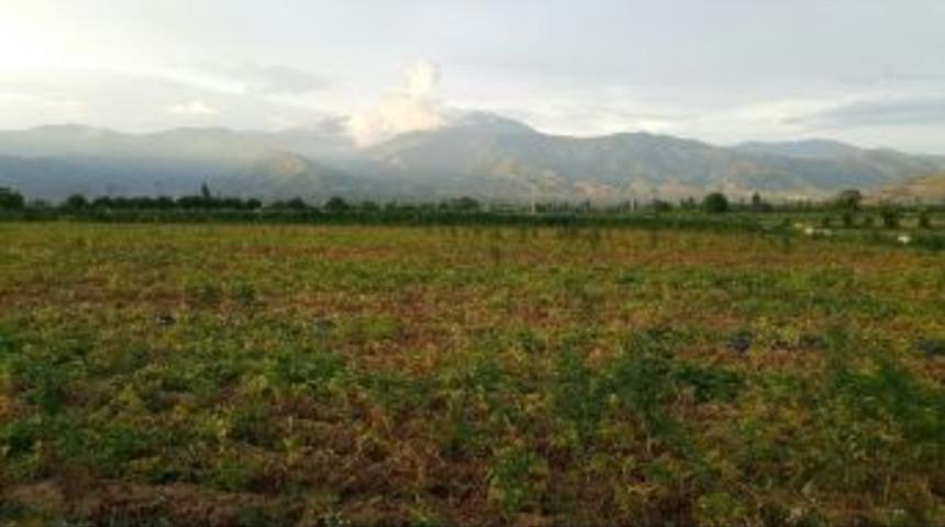 Yağmur Üreticiyi Rahatlattı