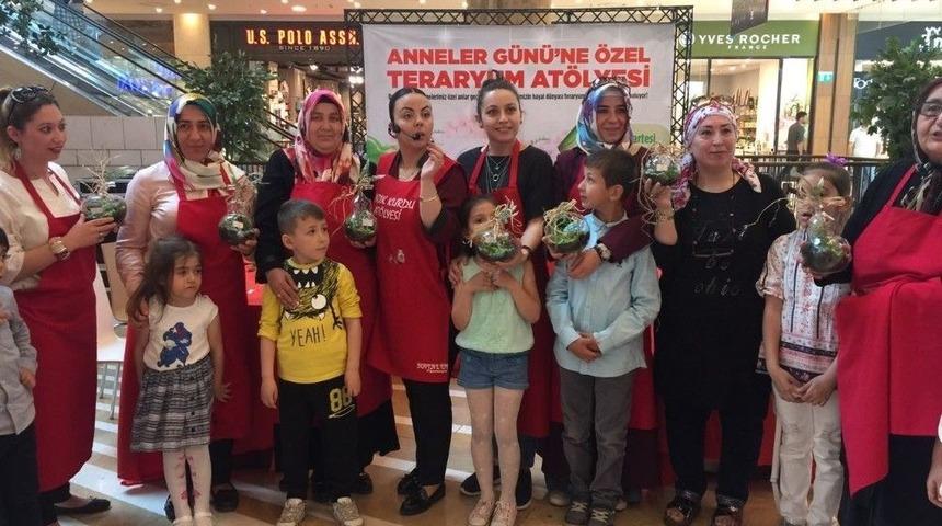 Teraryum At&ouml;lyesi İle Botanik D&uuml;nyasında Keyifli Yolculuk