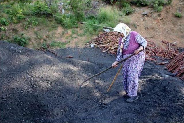 Odun Kömürü Hazırlayarak Aile Ekonomisine Katkı Sağlıyor