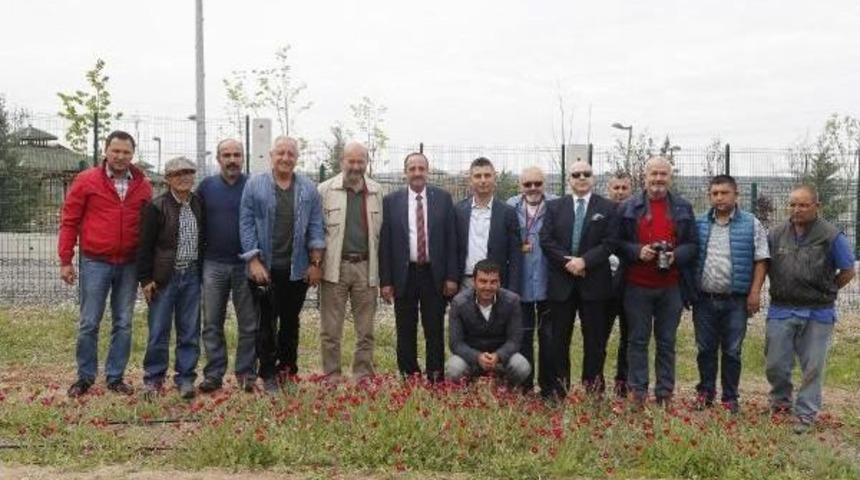 Nesli Tehlike Altındaki Sevgi &Ccedil;i&ccedil;eği'ne &Ouml;zel Koruma