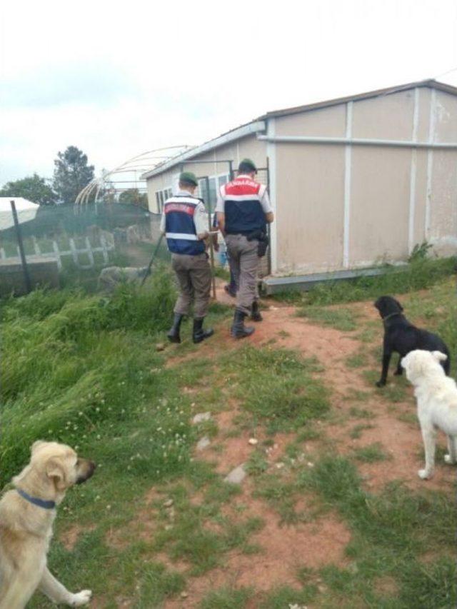 Kaybolan K&ouml;peği Bulana 5 Bin Tl &Ouml;d&uuml;l Koydu 2