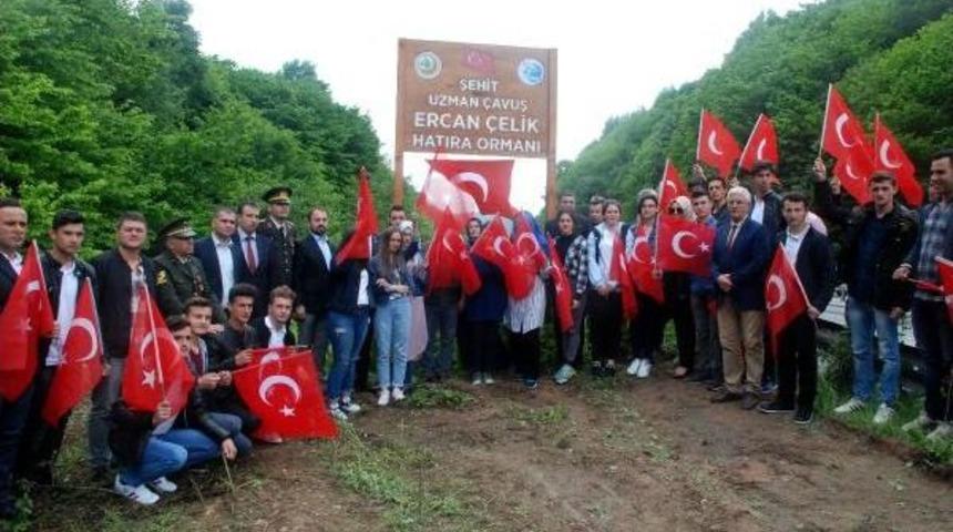 Şehit Uzman &Ccedil;avuşun Adı Ormana Verildi