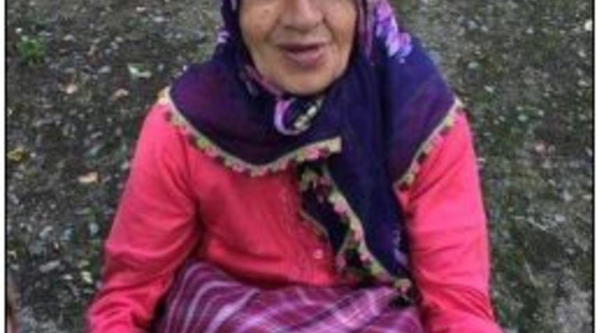 Eşinin Kestiği Ağacın Altında Kalan Kadın Hayatını Kaybetti