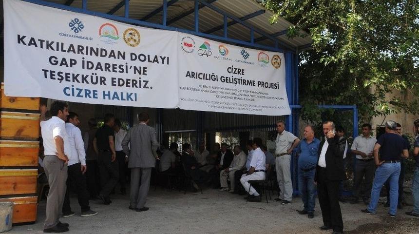 Cizre&rsquo;de 50 &Ccedil;ift&ccedil;iye Bin 250 Arı Ve 25 Arı Kovanı Dağıtıldı