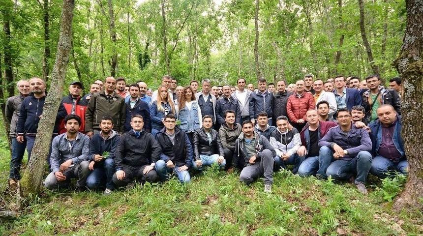 Balıkesir&rsquo;de Meşe T&uuml;rleri Belirlendi