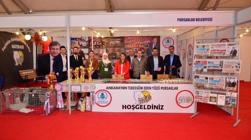 Pursaklar&rsquo;ın Ankara Kedileri Akm&rsquo;de İlgi Odağı Oldu