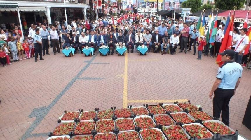 4. K&uuml;lt&uuml;r, Turizm Ve &Ccedil;ilek Festivali Başladı