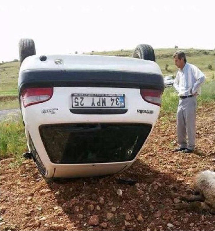 Otomobilde Taşıdığı Koyun Huysuzlanıp Üzerine Atlayınca Kaza Yaptı