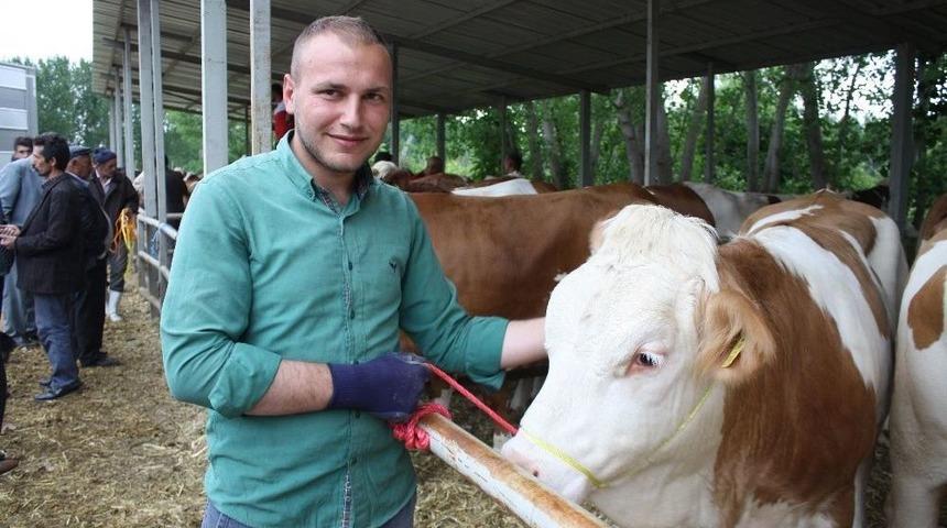 Tokat&rsquo;ta Gebe D&uuml;ve İthalatı