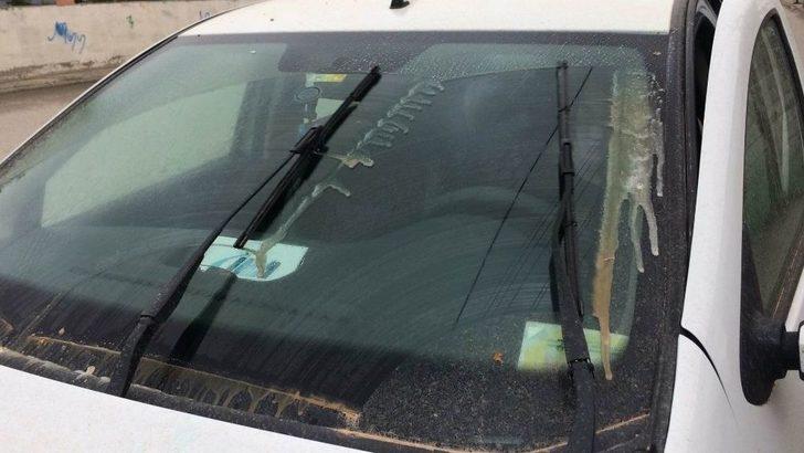 Van’da Fırtına G4